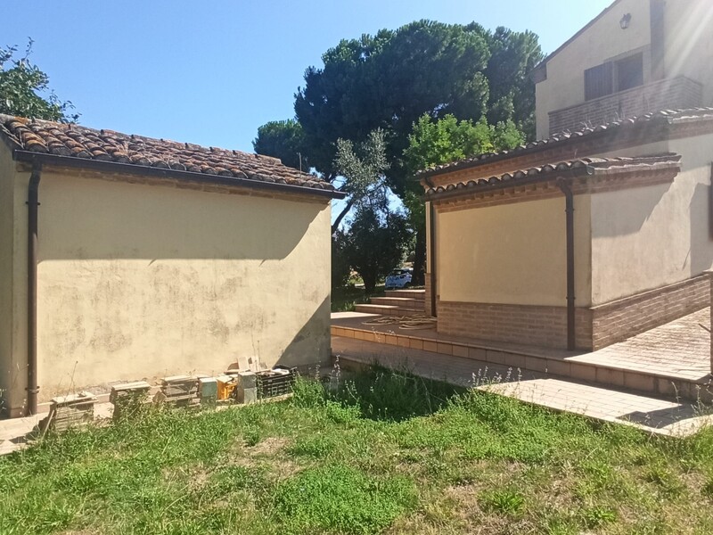 WhatsApp Image 2025-08-07 at 11.00.29 (2).jpeg