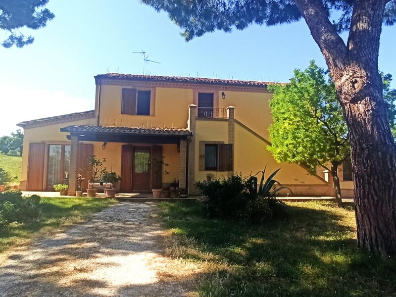 WhatsApp Image 2025-08-07 at 11.00.29 (4).jpeg