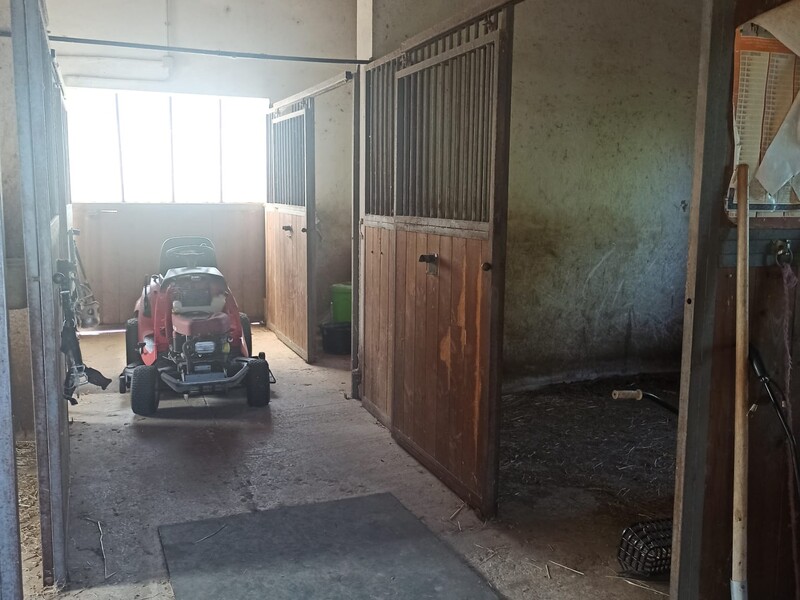 WhatsApp Image 2025-08-07 at 11.00.29.jpeg