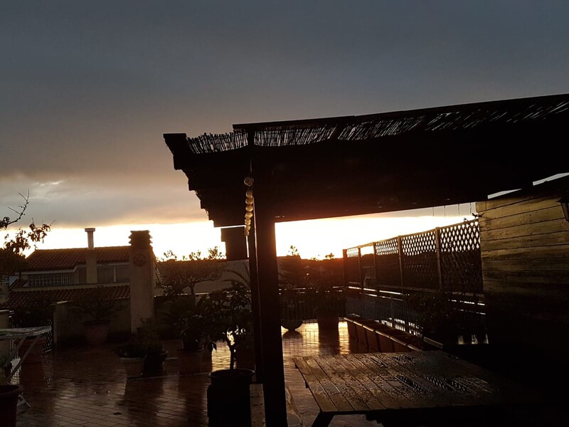 WhatsApp Image 2026-03-30 at 19.17.52.jpeg