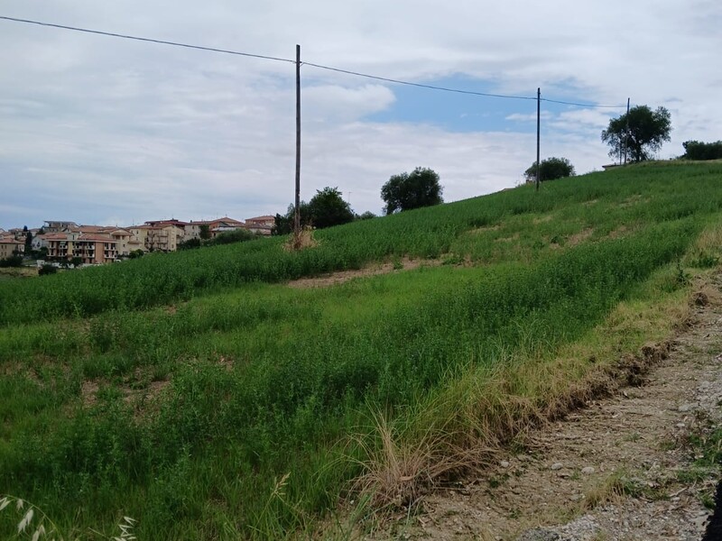 ab1447dd-e5a2-4fde-a34a-e0879adff0d5.jpg