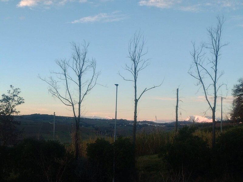 Panorama.jpg
