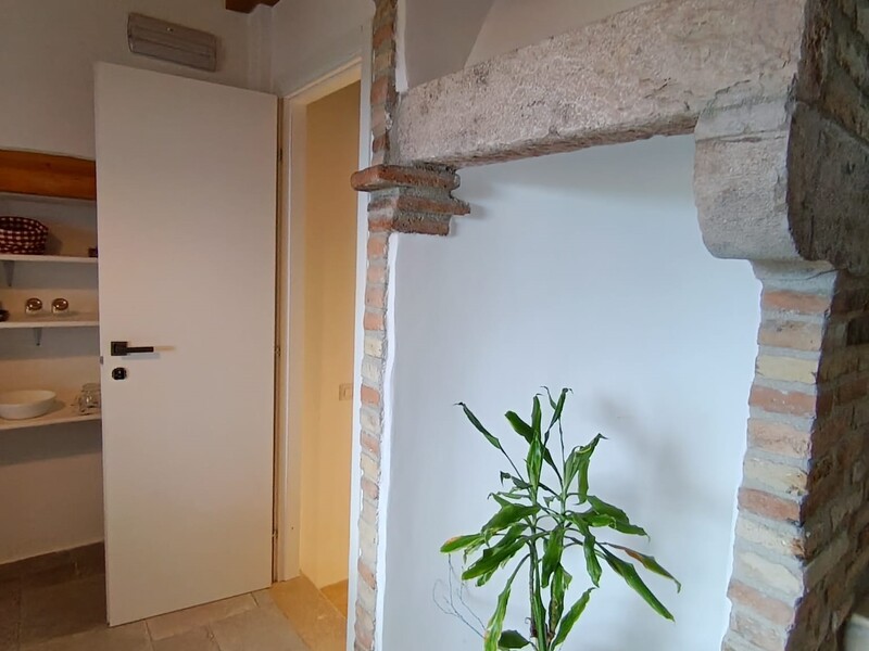 canna fumaria (Lasciata come Arredo).jpg