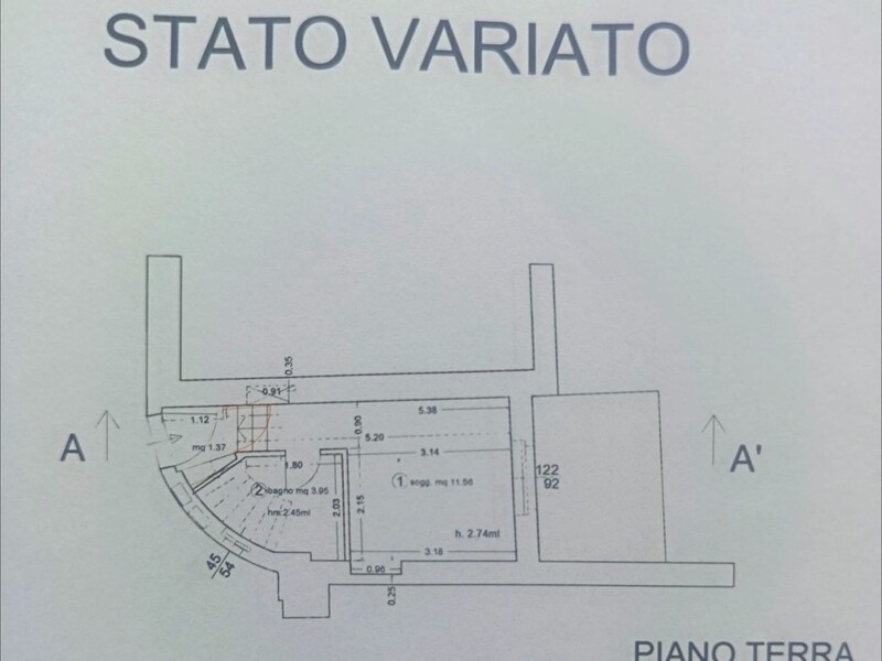 P.terra.jpg